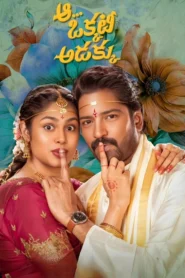 Aa Okkati Adakku (2024) Dual Audio Hindi ORG & Watch FREE