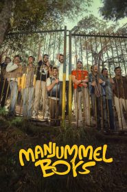 Manjummel Boys (2024) Hindi + Malayalam Full HD – Full Movie Download & Watch FREE – upmoviez.com