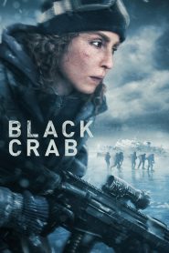 Black Crab (2022) Hindi + English – Full Movie Download & Watch FREE – upmoviez.com