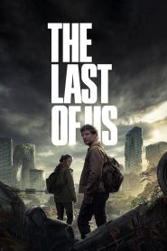 The Last of Us (2023-2025) Season 01 – 02 – Hindi/English – Full Series Download & Watch FREE – upmoviez.com