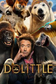 Dolittle (2020) Hindi/English – Full Movie Download & Watch FREE – upmoviez.com