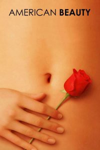 American Beauty (1999) – Full Movie Download & Watch FREE – upmoviez.com