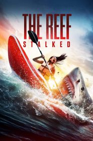 The Reef: Stalked (2022) – Full Movie Download & Watch FREE – upmoviez.com