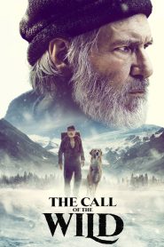 The Call Of The Wild (2020) Hindi + English – Full Movie Download & Watch FREE – upmoviez.com