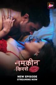 Namkeen Kisse (2024) Season 01 – Episode 01-30 Hindi – Full Series Download & Watch FREE – upmoviez.com
