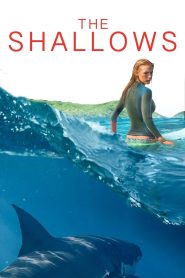 The Shallows (2016) Hindi + English – Full Movie Download & Watch FREE – MRBOBD.COM