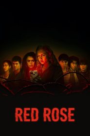 Red Rose (2022) Season 01 – Hindi/English – Full Series Download & Watch FREE – upmoviez.com