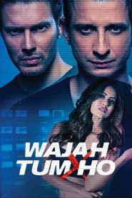 Wajah Tum Ho (2016) – Full Movie Download & Watch FREE – MRBOBD.COM