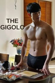 The Gigolo (2015) – Full Movie Download & Watch FREE – MRBOBD.COM