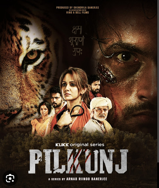 Pilkunj (2023) – Full Series Download & Watch FREE – upmoviez.com