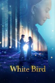 White Bird A Wonder Story (2024) Dual Audio Hindi – Full Movie Download & Watch FREE – upmoviez.com