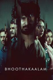 Bhoothakaalam (2022) WEBRip Hindi (Studio-DUB) + Tamil – Full Movie Download & Watch FREE – upmoviez.com