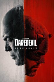 Daredevil: Born Again (2025) S01 Dual Audio [Hindi ORG-English] DSNP & Watch FREE