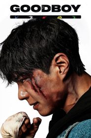 Good Boy (2025) S01 – Ep: 01-16 – Dual Audio [Hindi-Korean] AMZN WEB-DL – Full Series Download & Watch FREE – upmoviez.com