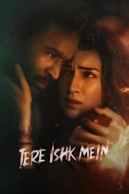 Tere Ishk Mein (2025) Dual Audio [Hindi ORG-Tamil] Netflix & Watch FREE