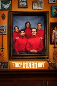 A Nice Indian Boy (2025) HQ AMZN.WEB-DL Hindi + Multi & Watch FREE