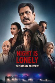 Raat Akeli Hai – The Bansal Murders (2025) Hindi Netflix & Watch FREE