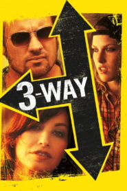Three Way (2004) Dual Audio [Hindi ORG-English] BluRay & Watch FREE