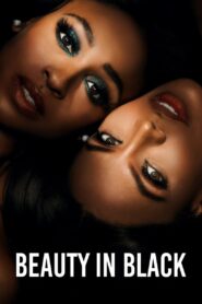 Beauty in Black (2024-2026) S01-02 Dual Audio [Hindi ORG-English] Netflix & Watch FREE