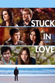 Stuck in Love (2013) Dual Audio [Hindi-English] BluRay & Watch FREE
